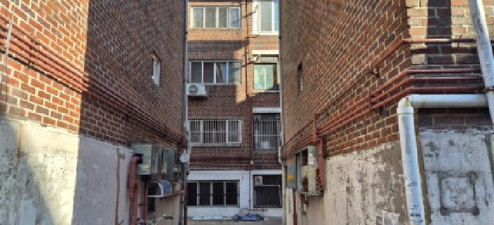 사진 13