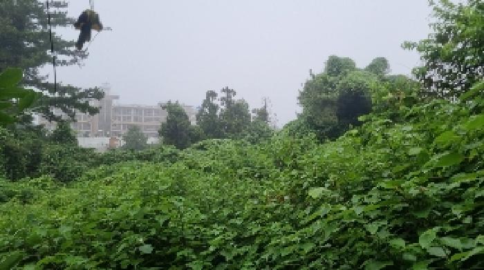 사진 12