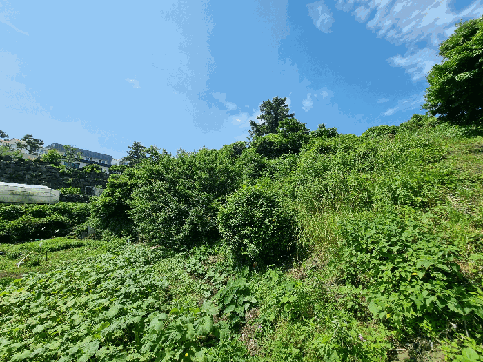 사진 5