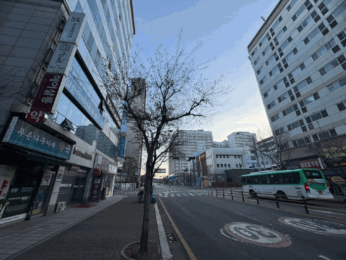 사진 12