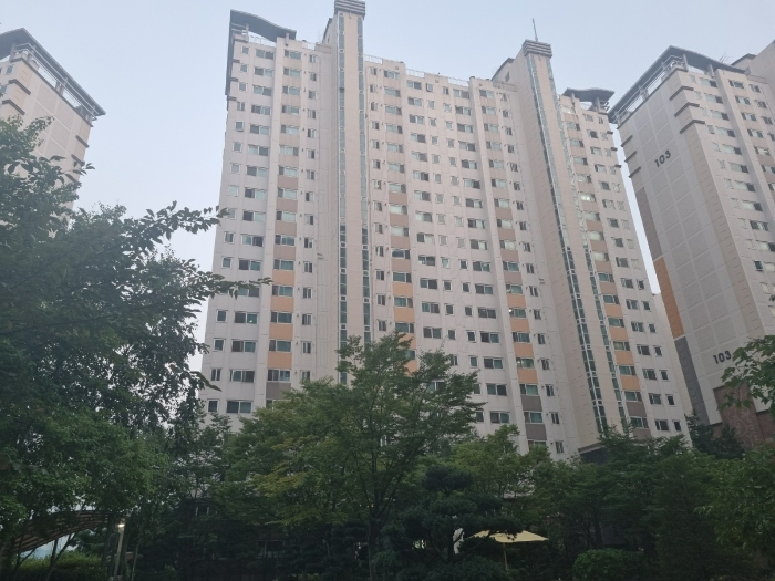 사진 6