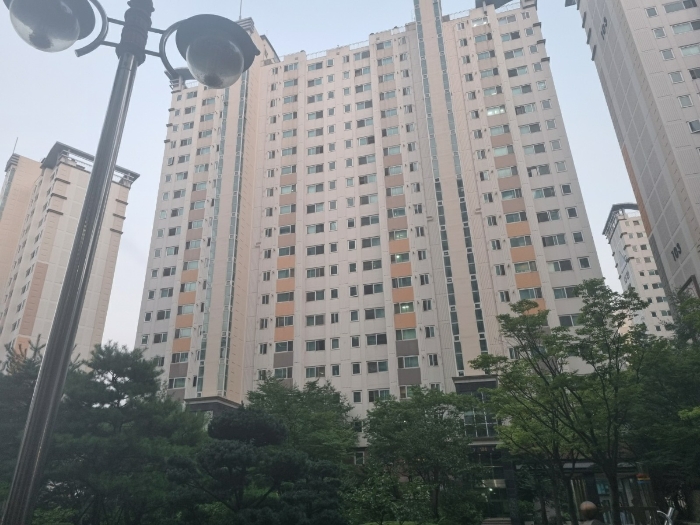 사진 7