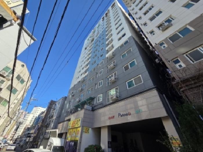 사진 1