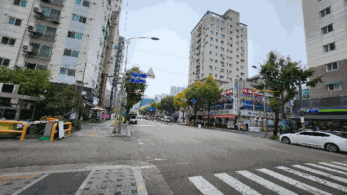 사진 11