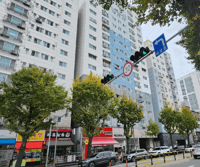 사진 8