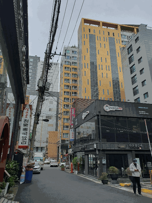 사진 10