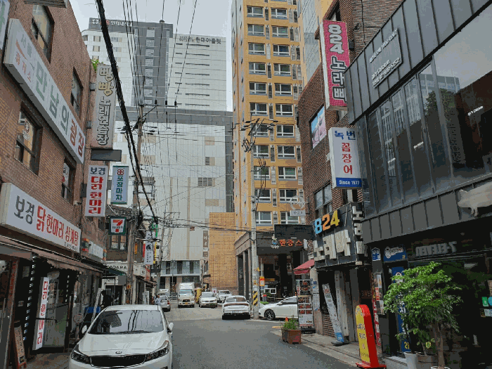 사진 12