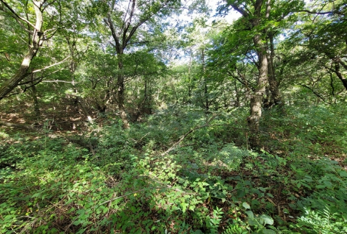 사진 7