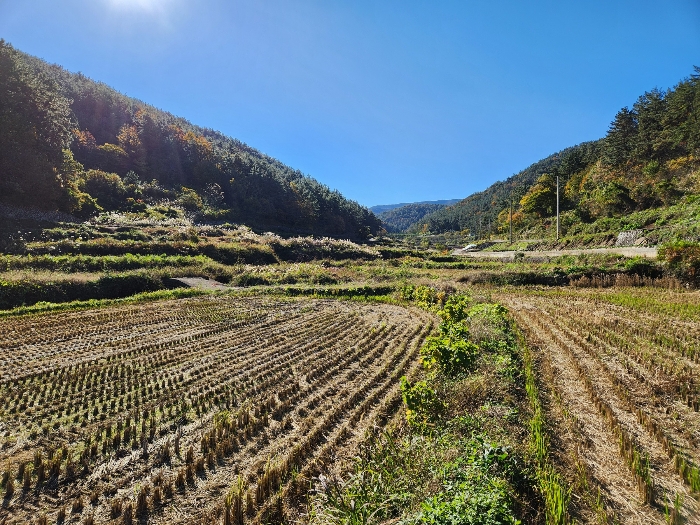 사진 17