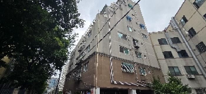 사진 2