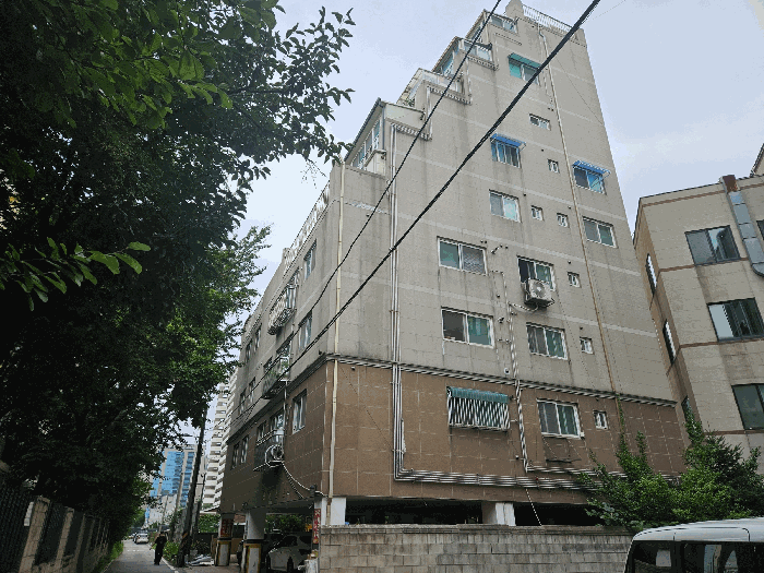 사진 10