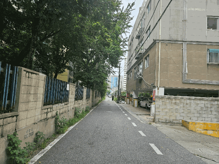 사진 8