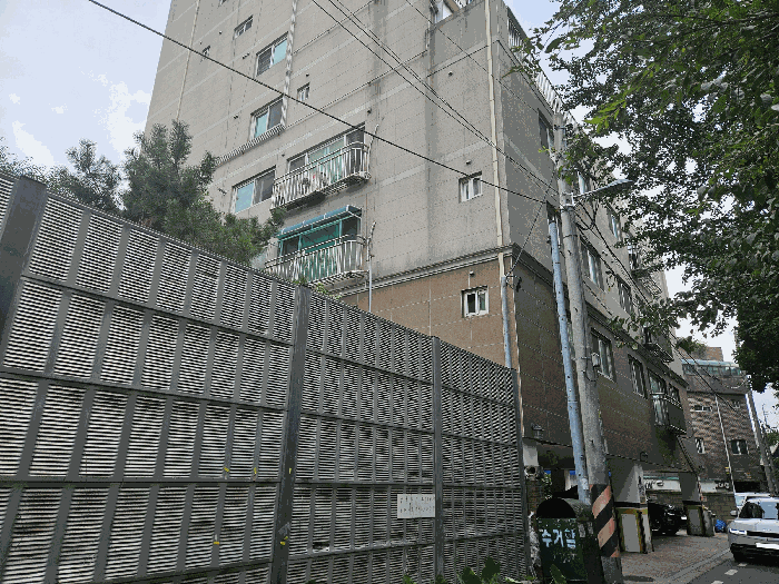 사진 9