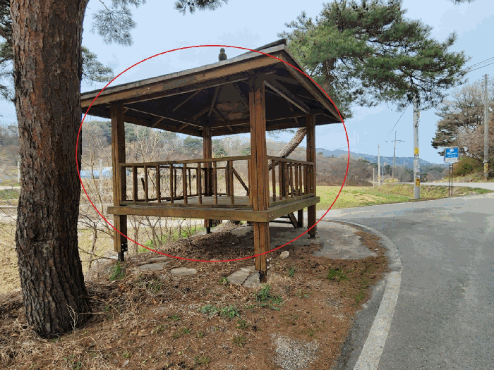 사진 1
