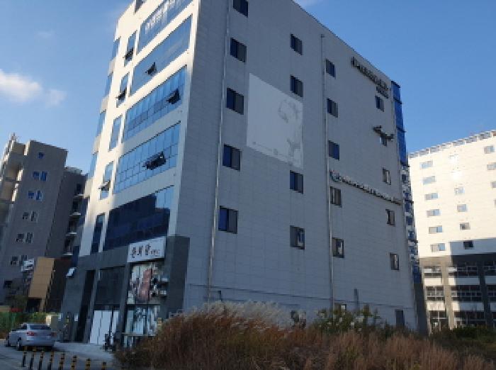 사진 5