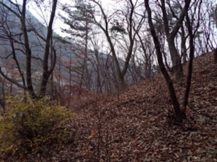 사진 34