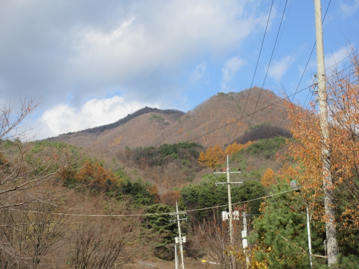 사진 36
