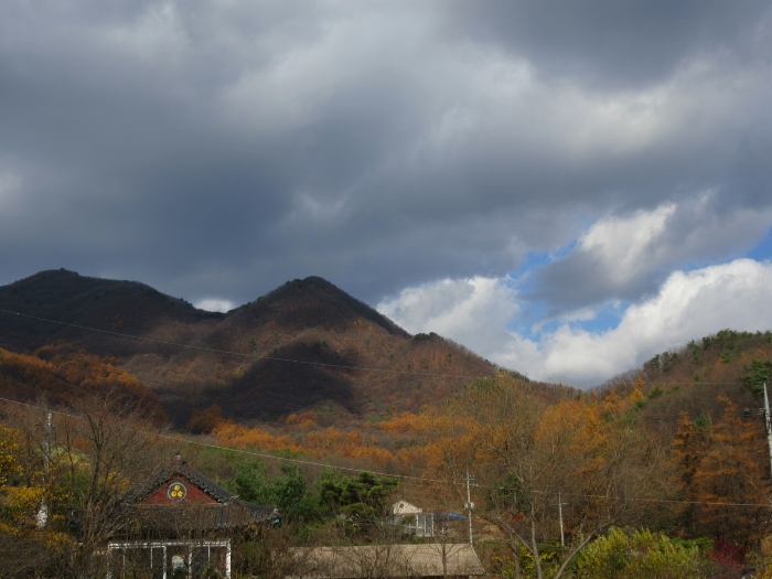 사진 37