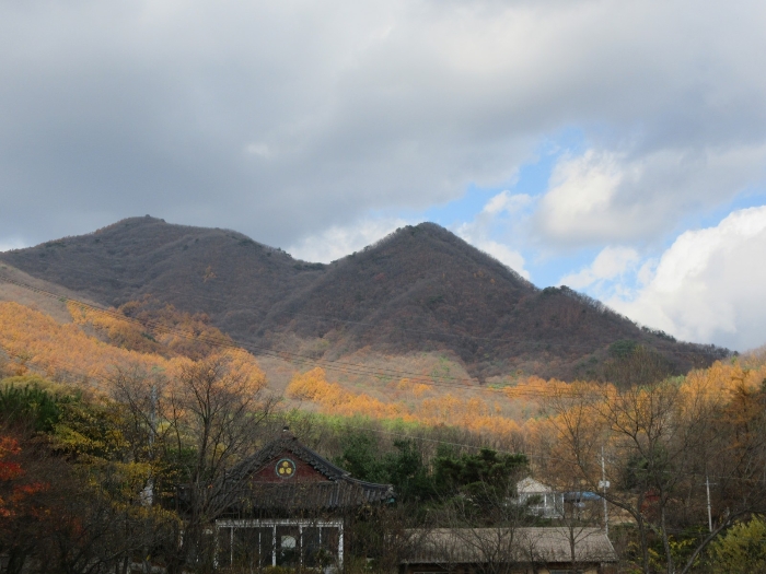 사진 38