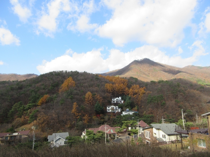 사진 39