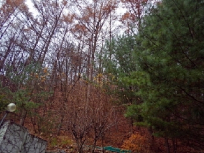 사진 8