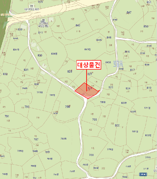 사진 12