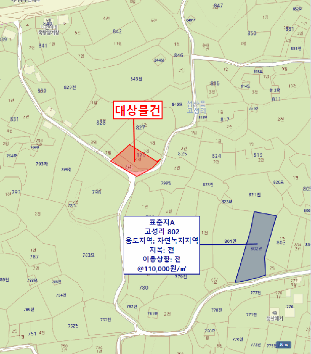 사진 7