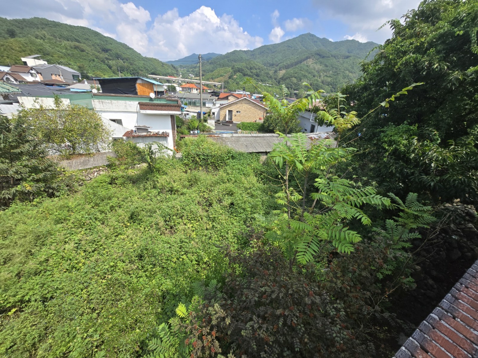사진 1