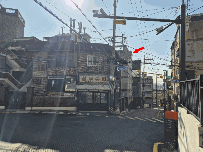 사진 12