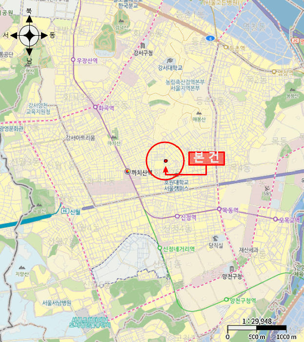 사진 6