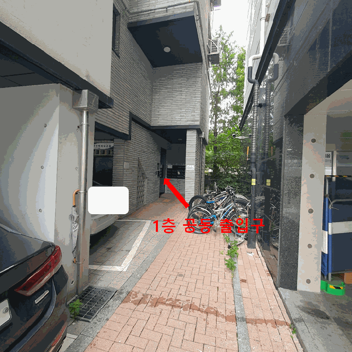 사진 9