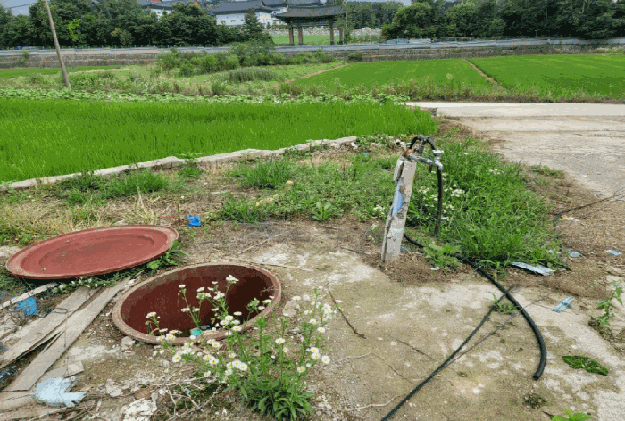 사진 28