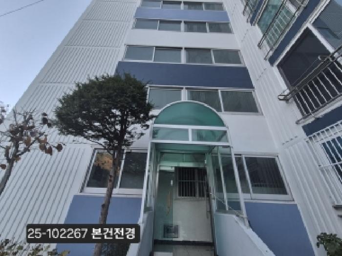 사진 8