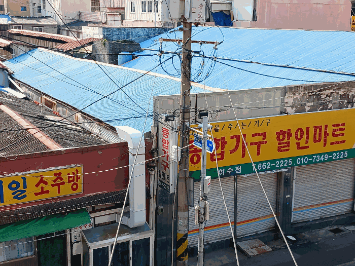 사진 15