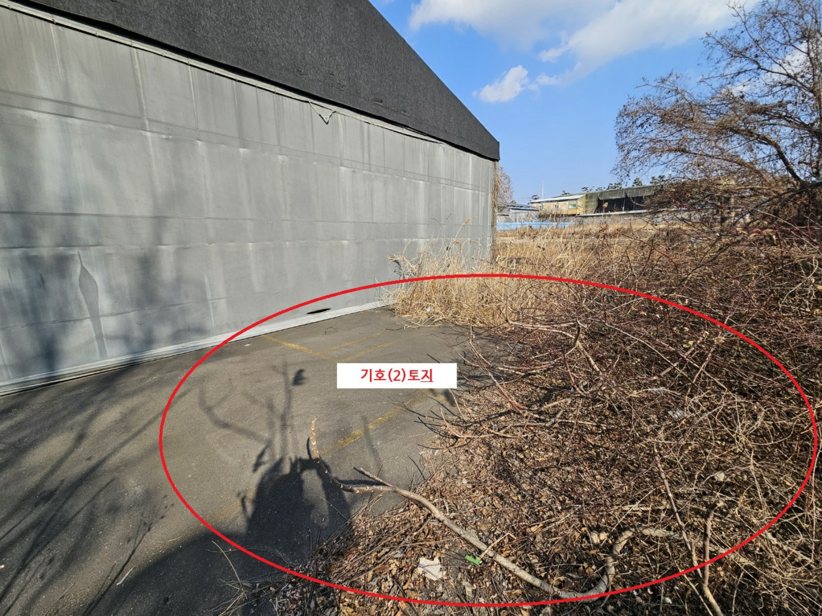 사진 1