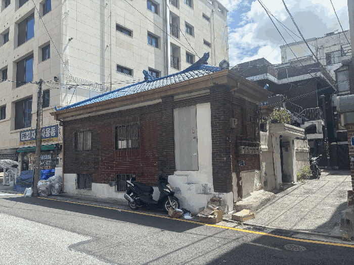 사진 9