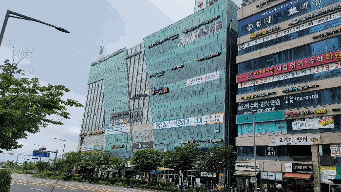 사진 5