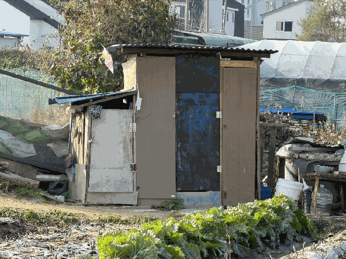 사진 4