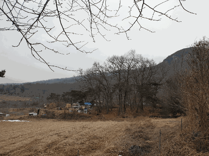 사진 6