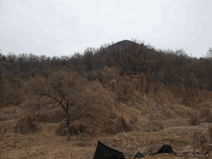 사진 7