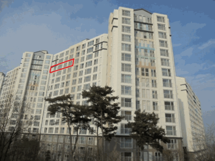 사진 6