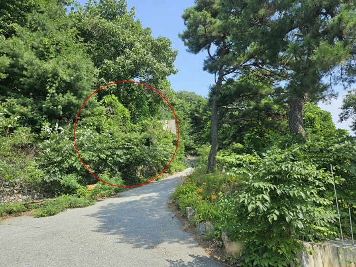 사진 6