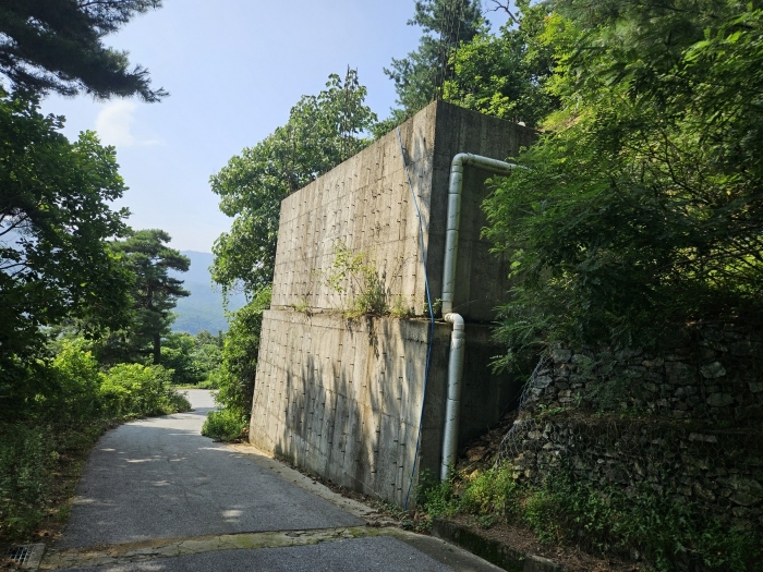 사진 8