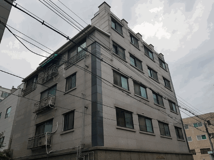 사진 11