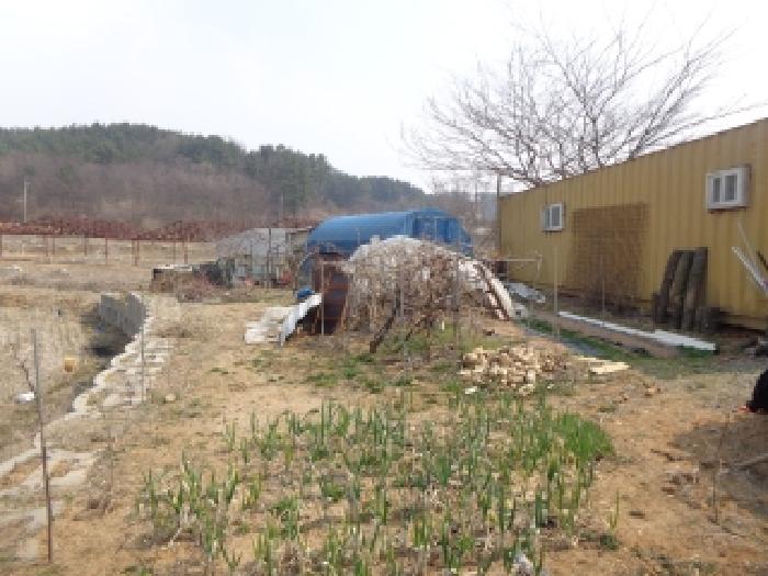 사진 17