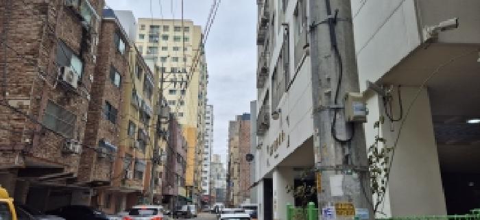 사진 2