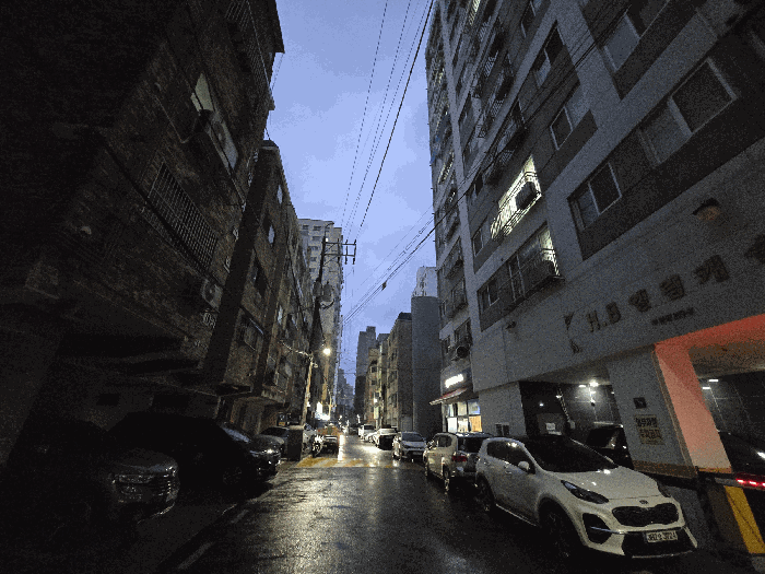 사진 12