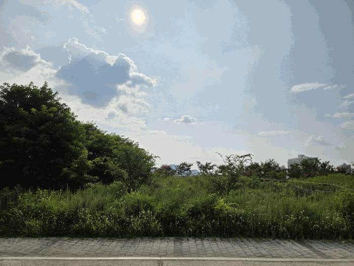 사진 1
