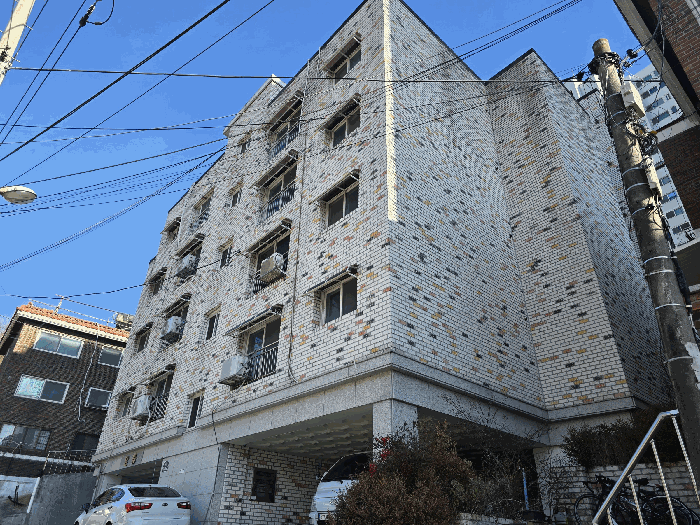 사진 11