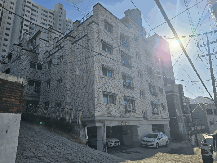 사진 9